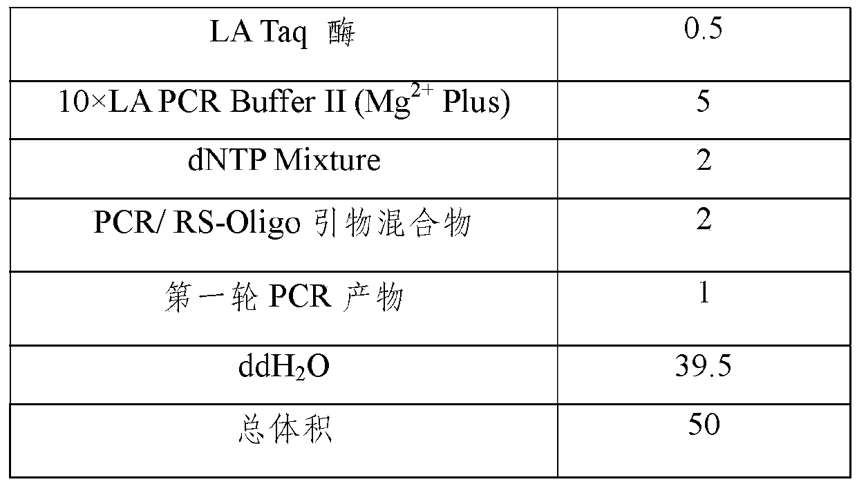 Method for detecting BCR-ABL fused gene ABL kinase domain mutation