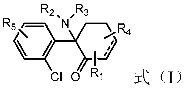 The use of (2r, 6r)-hydroxynorketamine, (s)-dehydronorketamine and other stereoisomeric dehydro and hydroxylated metabolites of (r,s)- ketamine in the treatment of depression and neuropathic pain