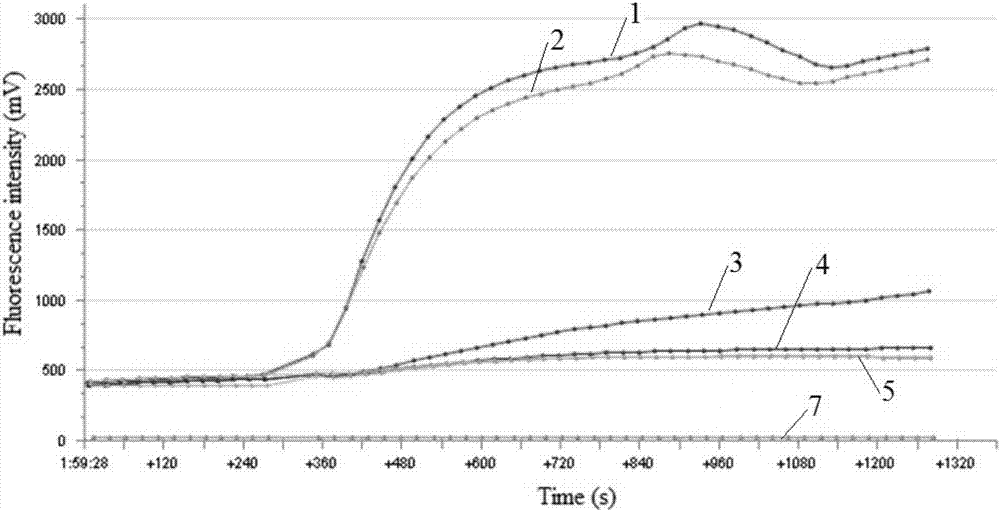 Reagent for H7 subtype avian influenza virus detection, detection method and application