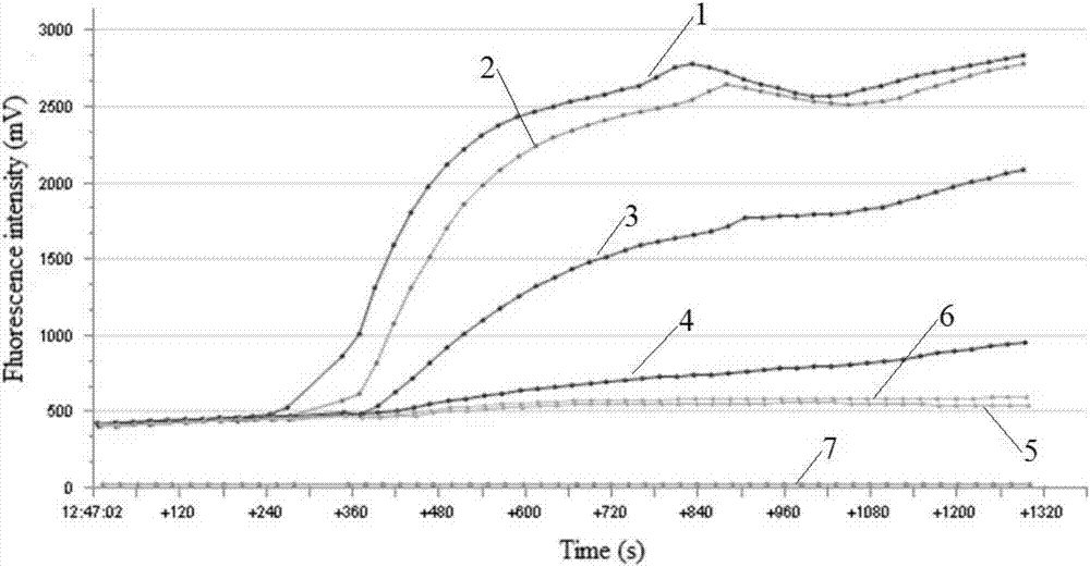 Reagent for H7 subtype avian influenza virus detection, detection method and application