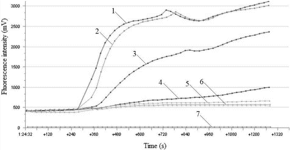 Reagent for H7 subtype avian influenza virus detection, detection method and application