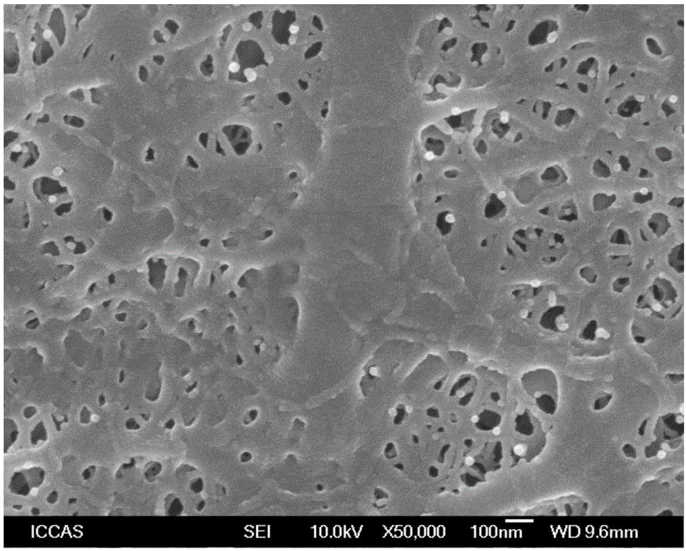 Preparation method of lithium battery membrane