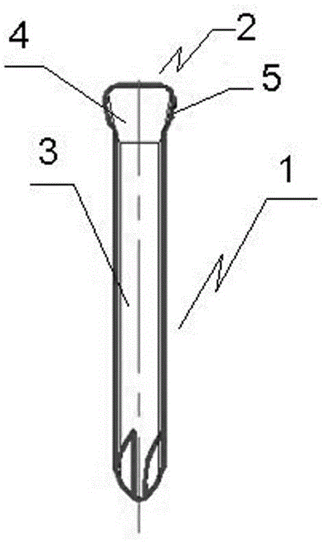 Bone plate screw structure