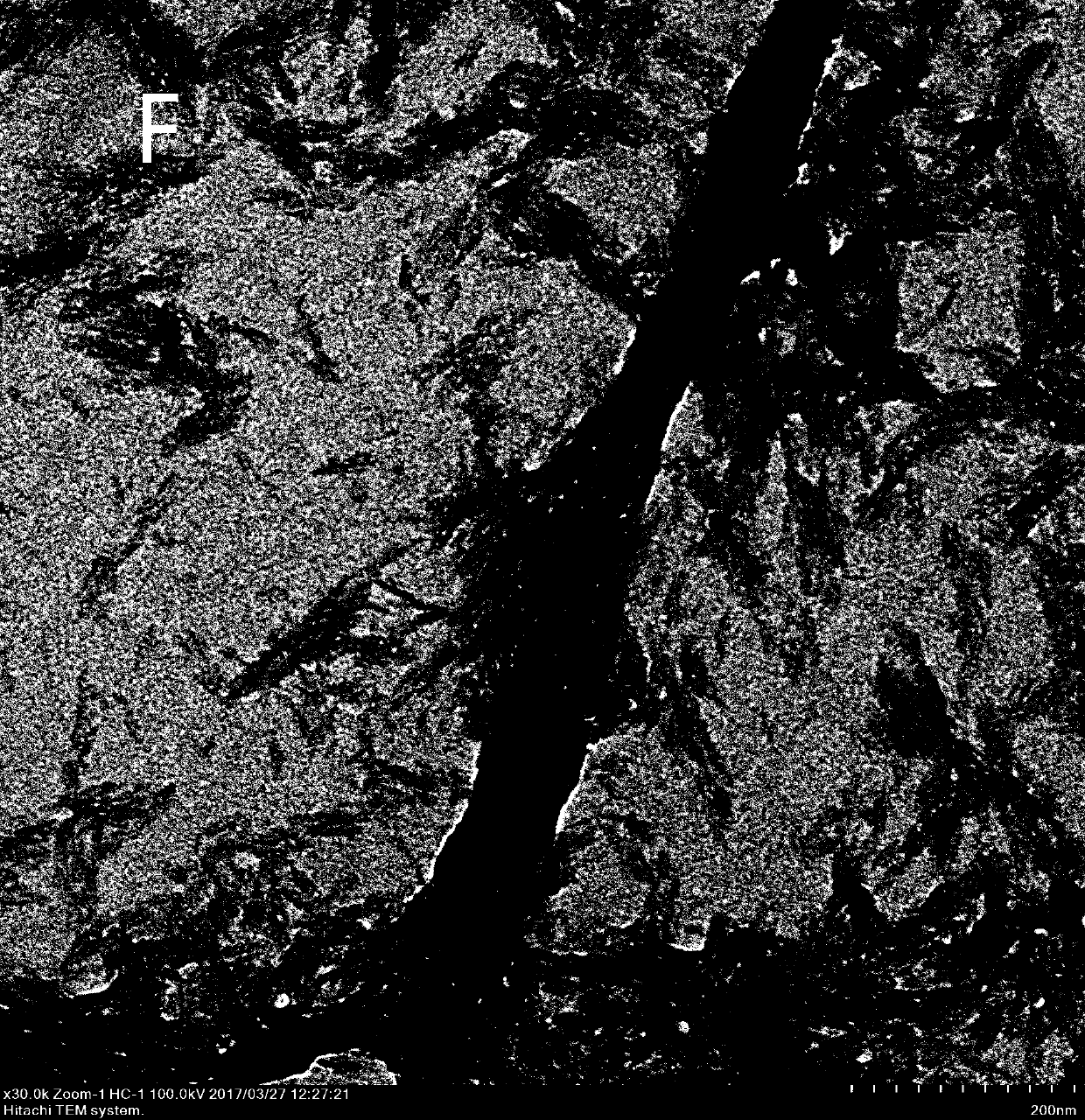 Preparation method of intra-fibrous biomimetic mineralized collagen membrane capable of promoting osteogenic differentiation of cells