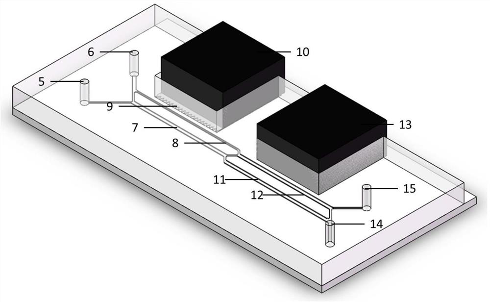 Multiplex Magnetic-Activated Sorting Structural Microfluidic Chip with High Purity Cell Recovery