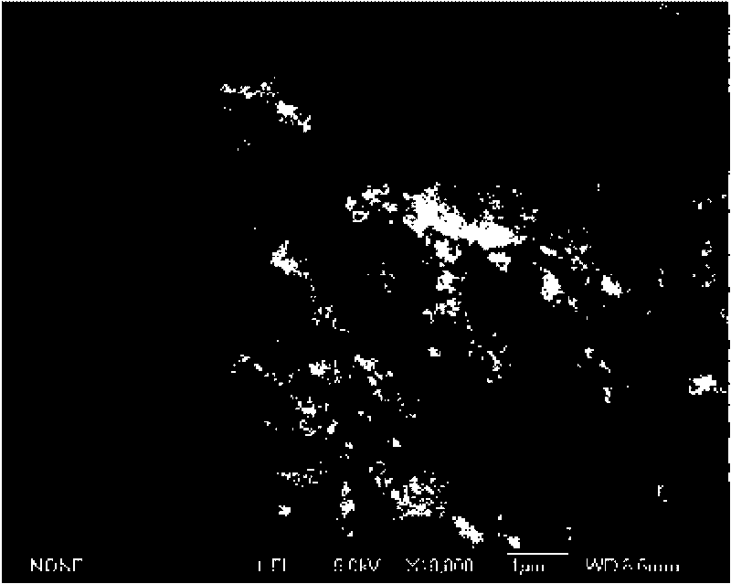 Magnetic nano hydroxyapatite adsorbent, preparation and application thereof