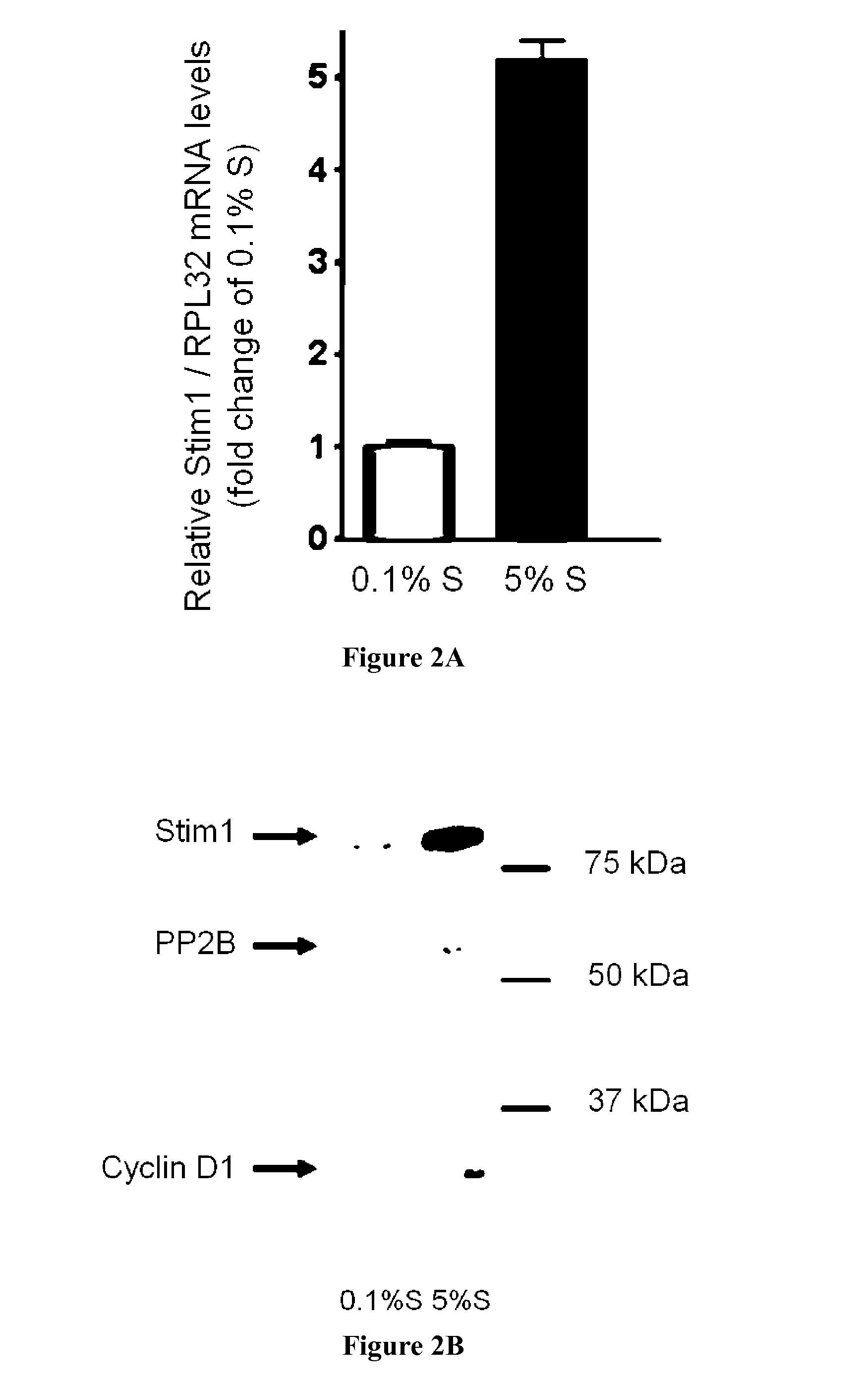 Inhibitors of stim1 for the treatment of cardiovascular disorders