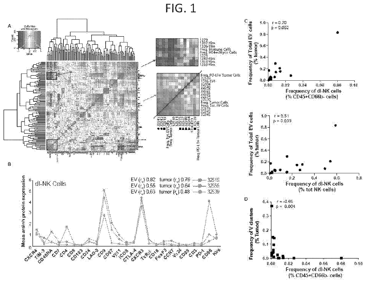 Methods for diagnosis, prognosis, and treatment of cancer