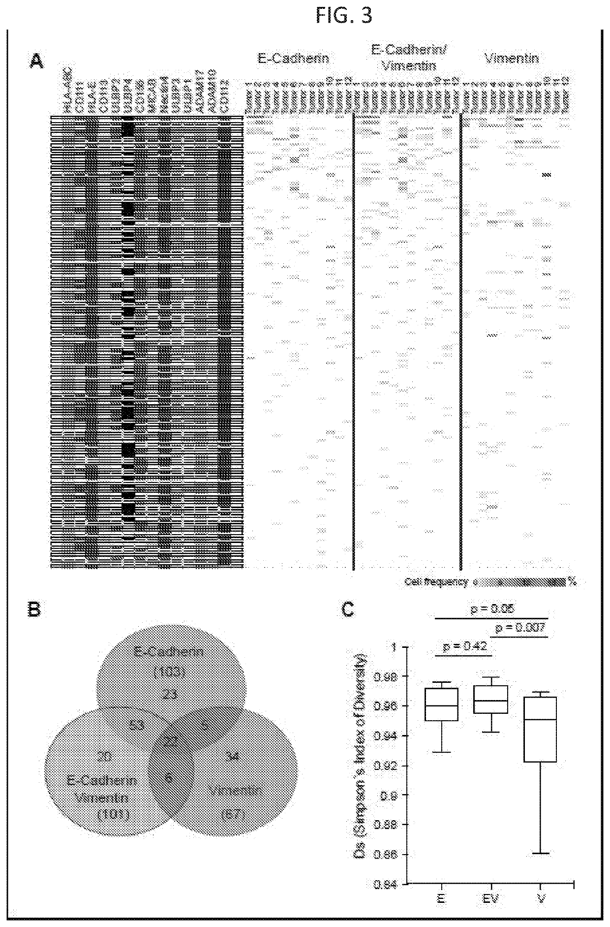 Methods for diagnosis, prognosis, and treatment of cancer