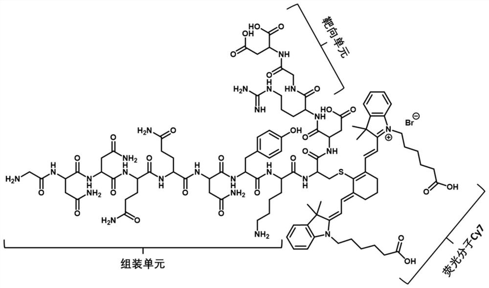 A kind of polypeptide imaging probe and its preparation method and application