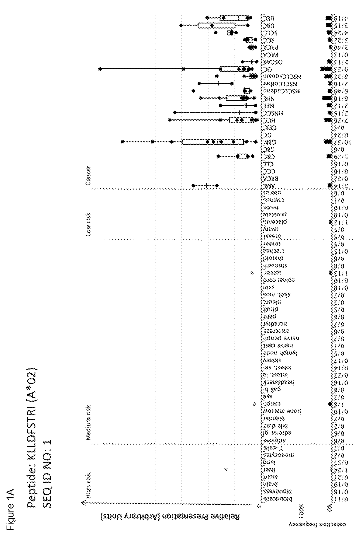 Peptides and combination of peptides of non-canonical origin for use in immunotherapy against different types of cancers