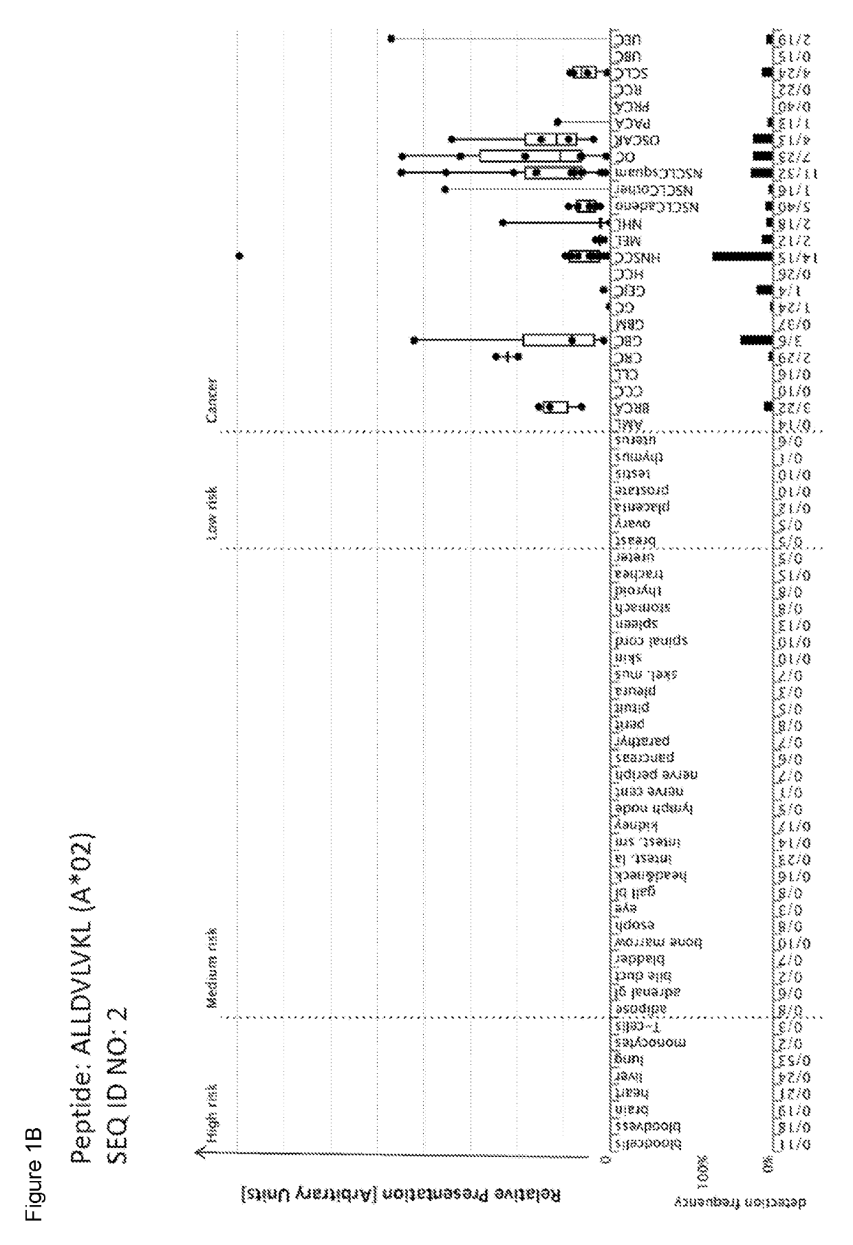 Peptides and combination of peptides of non-canonical origin for use in immunotherapy against different types of cancers