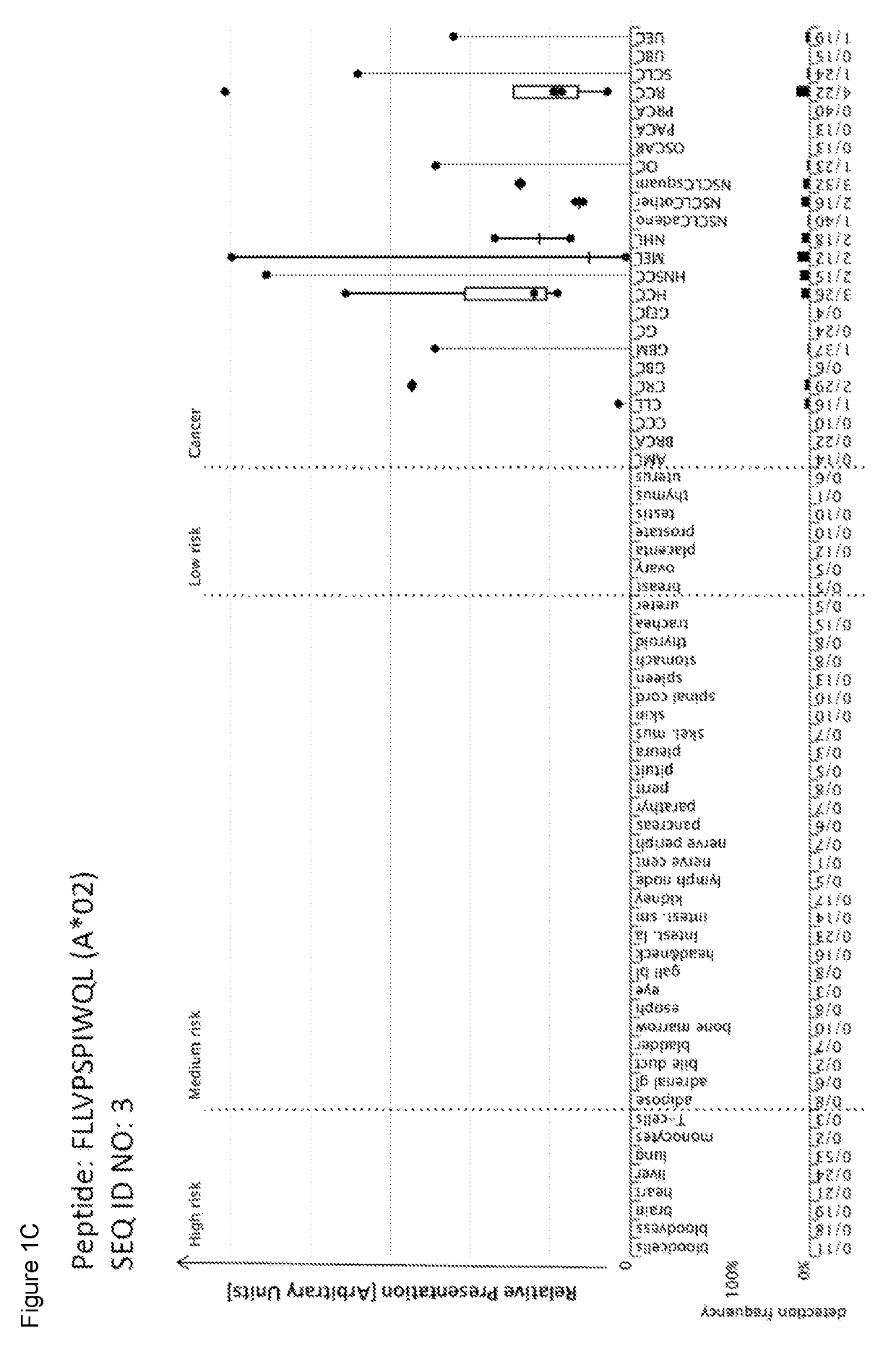 Peptides and combination of peptides of non-canonical origin for use in immunotherapy against different types of cancers