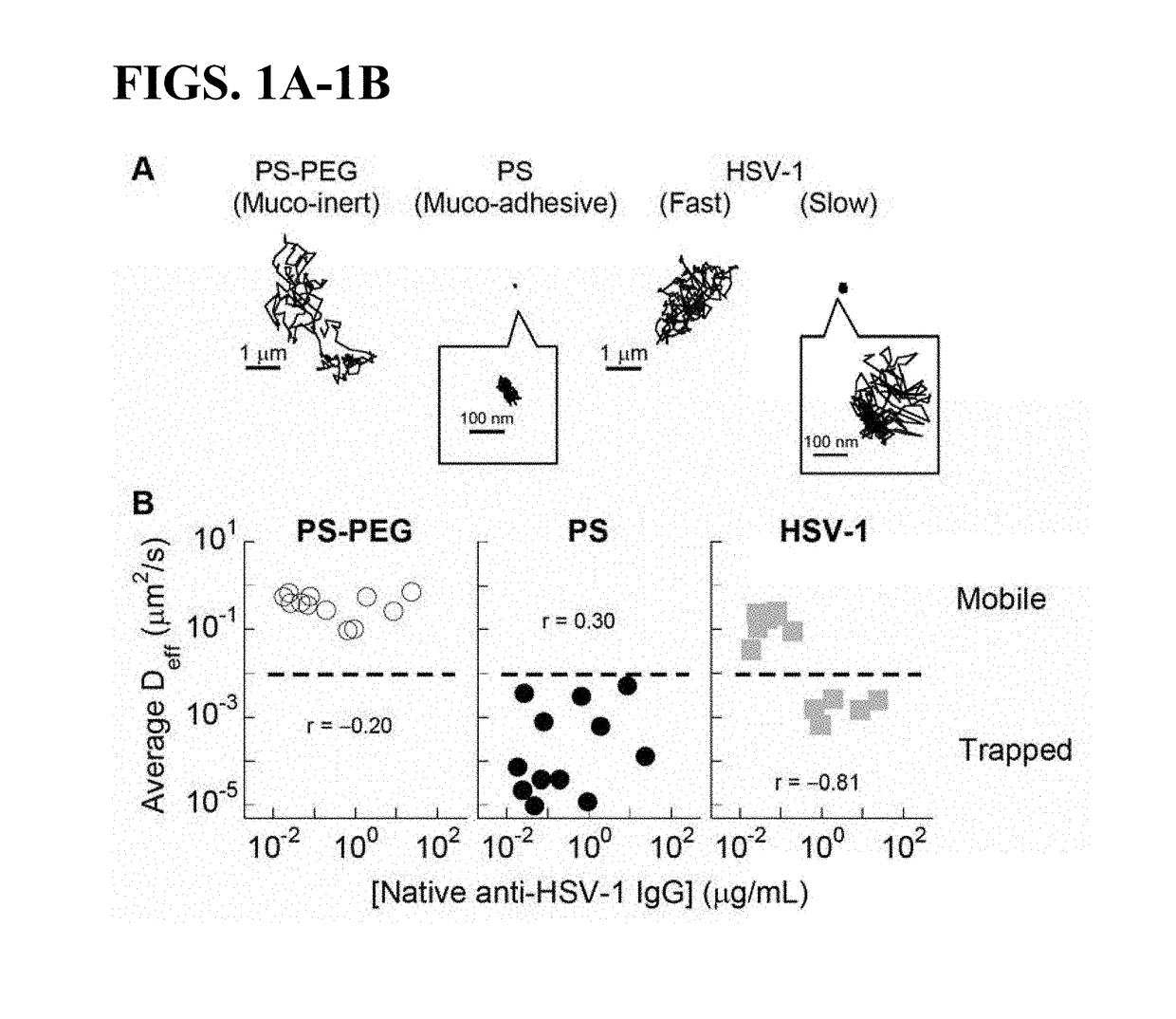 Compositions and methods for inhibiting pathogen infection