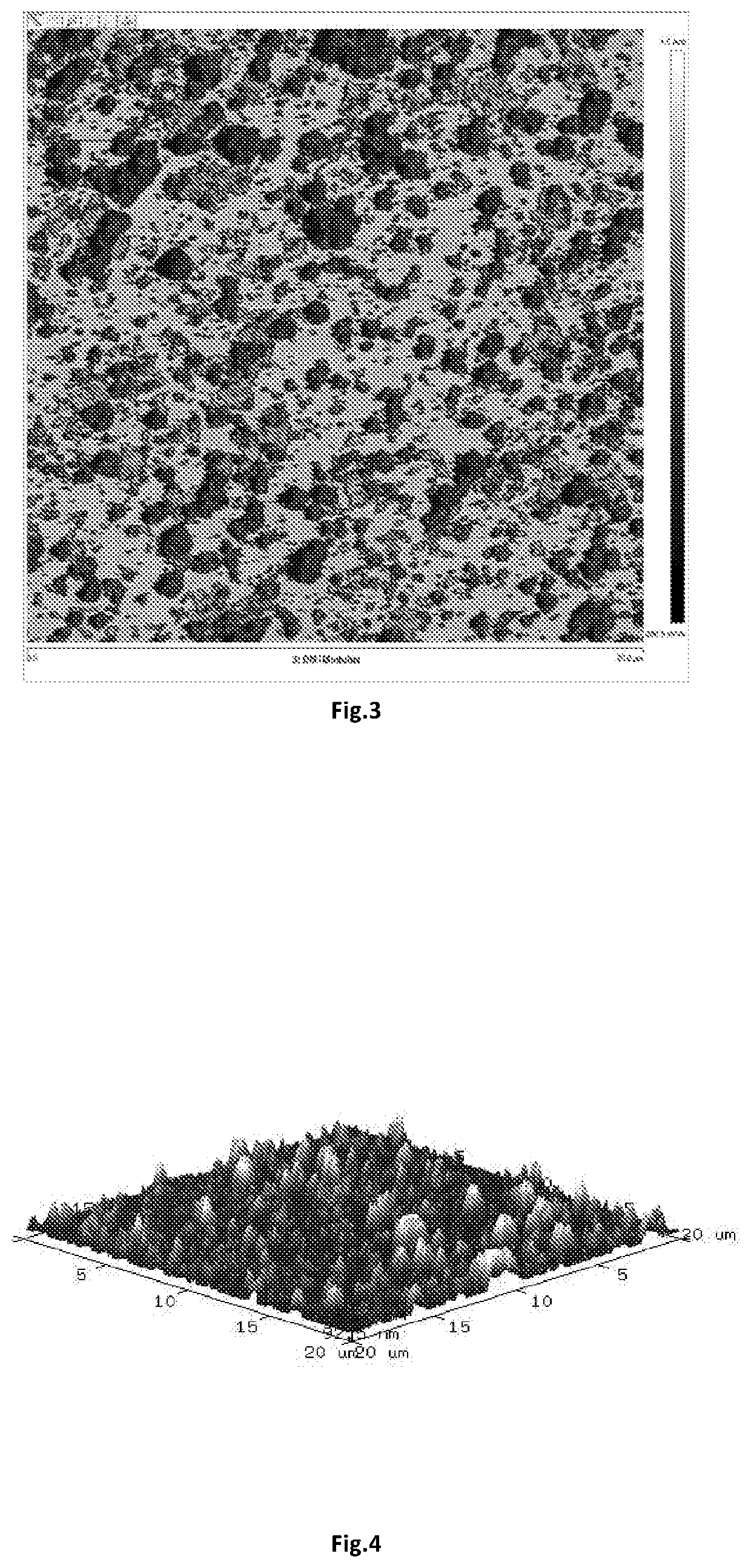 Article having amphiphobic coating film and method for preparation thereof