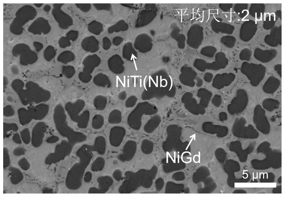 An in-situ self-generated hybrid phase-reinforced magnesium-based amorphous composite based on selective phase dissolution and its preparation method