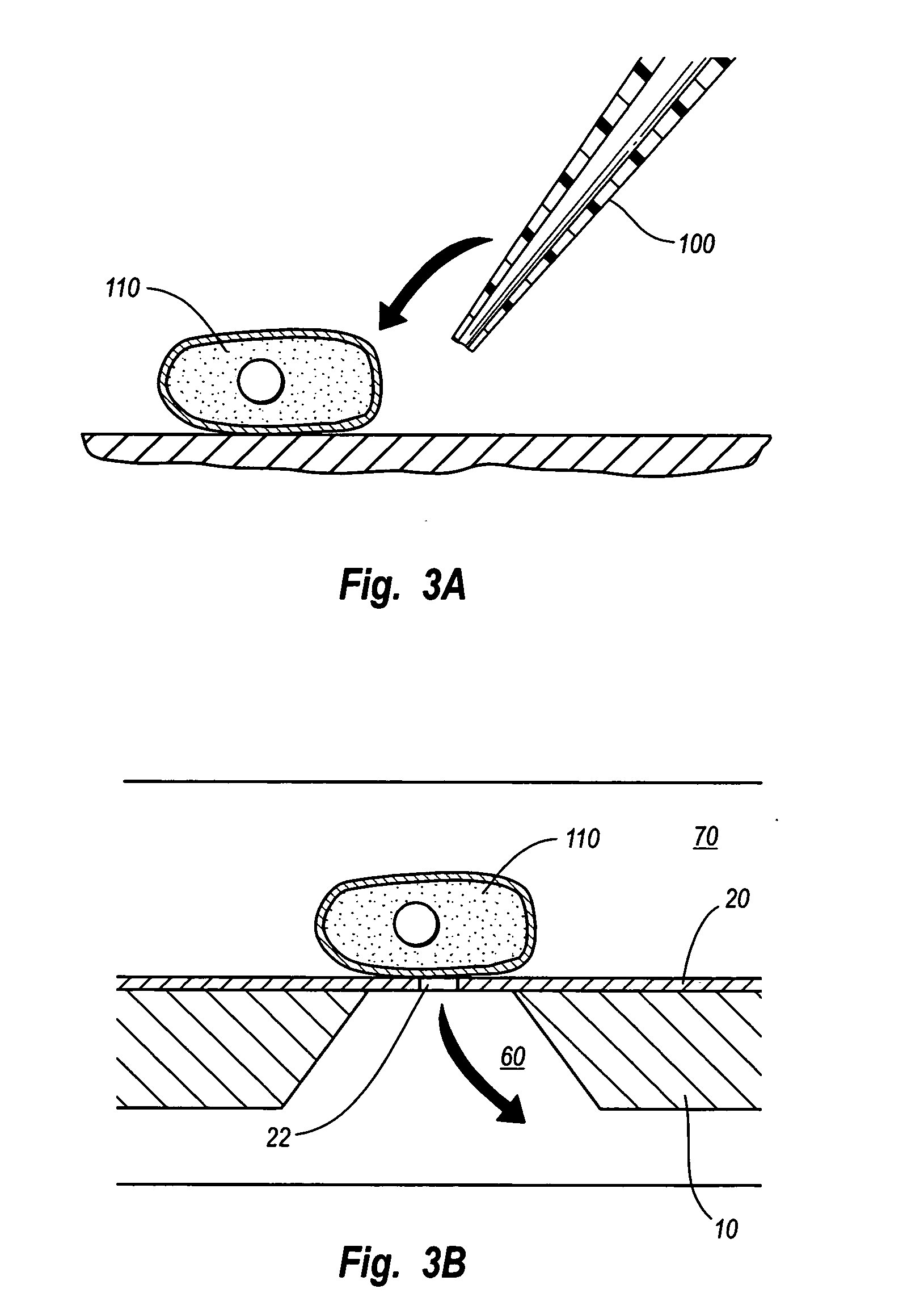 Microwell arrays with nanoholes