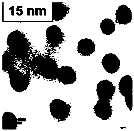 SERS (Surface Enhanced Raman Scattering) unit, and preparation method and application thereof