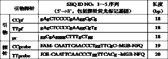 A fluorescent PCR detection kit for human interleukin 28b gene polymorphism