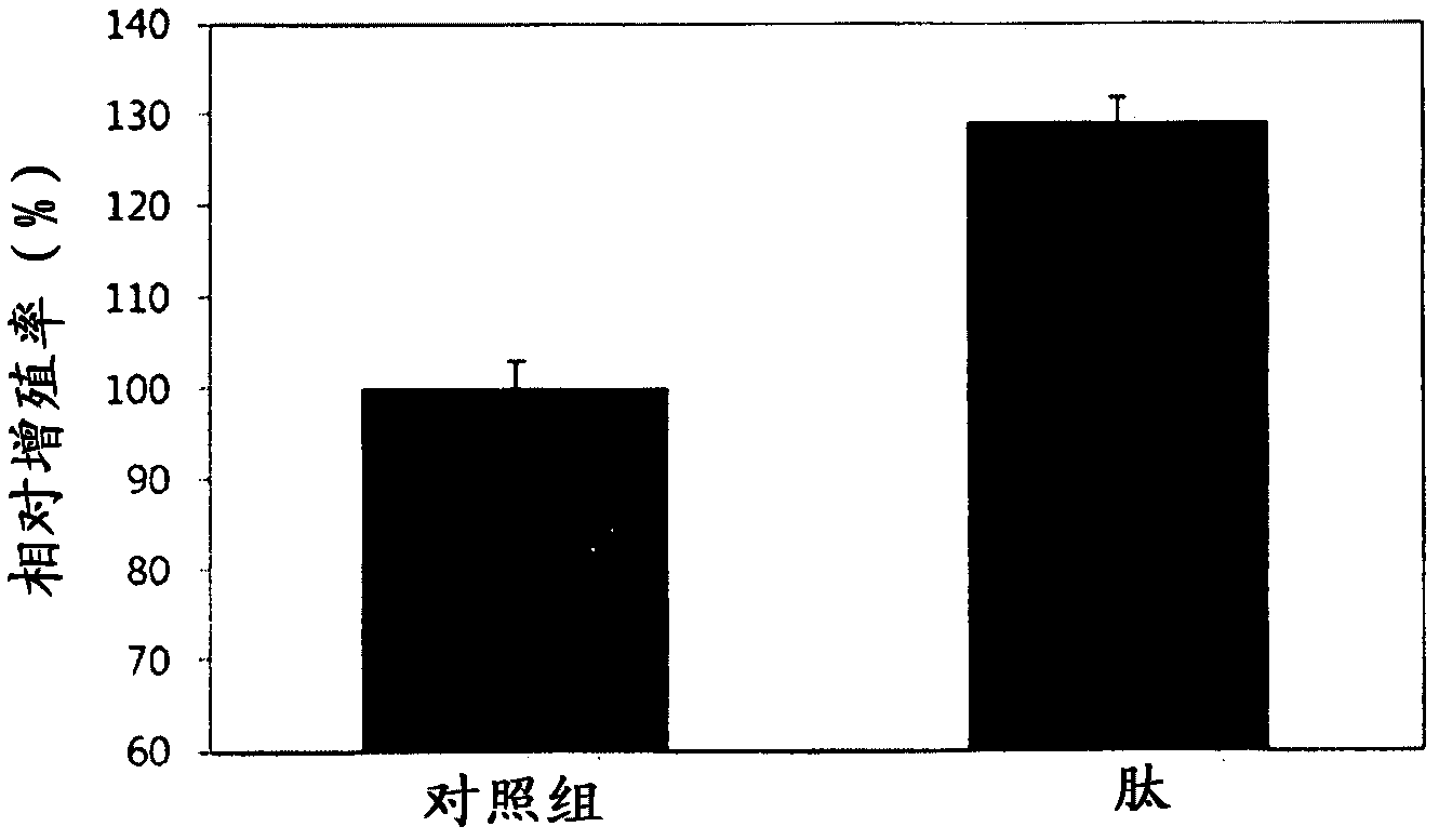 Noggin-derived peptide and use thereof