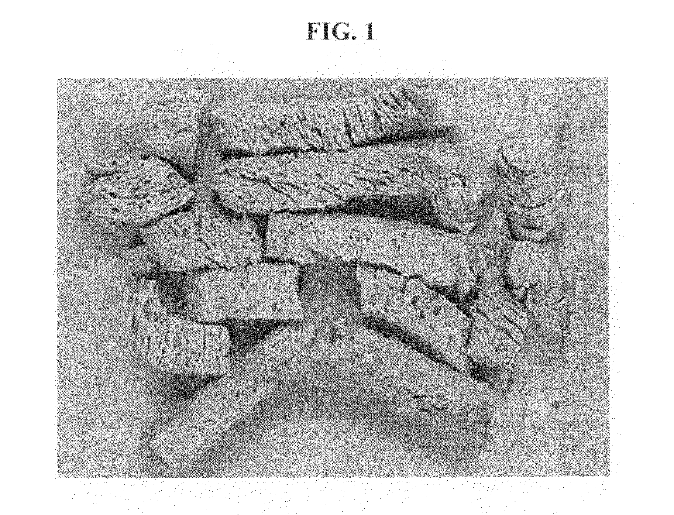 Flaked fish analogs and methods for making such analogs