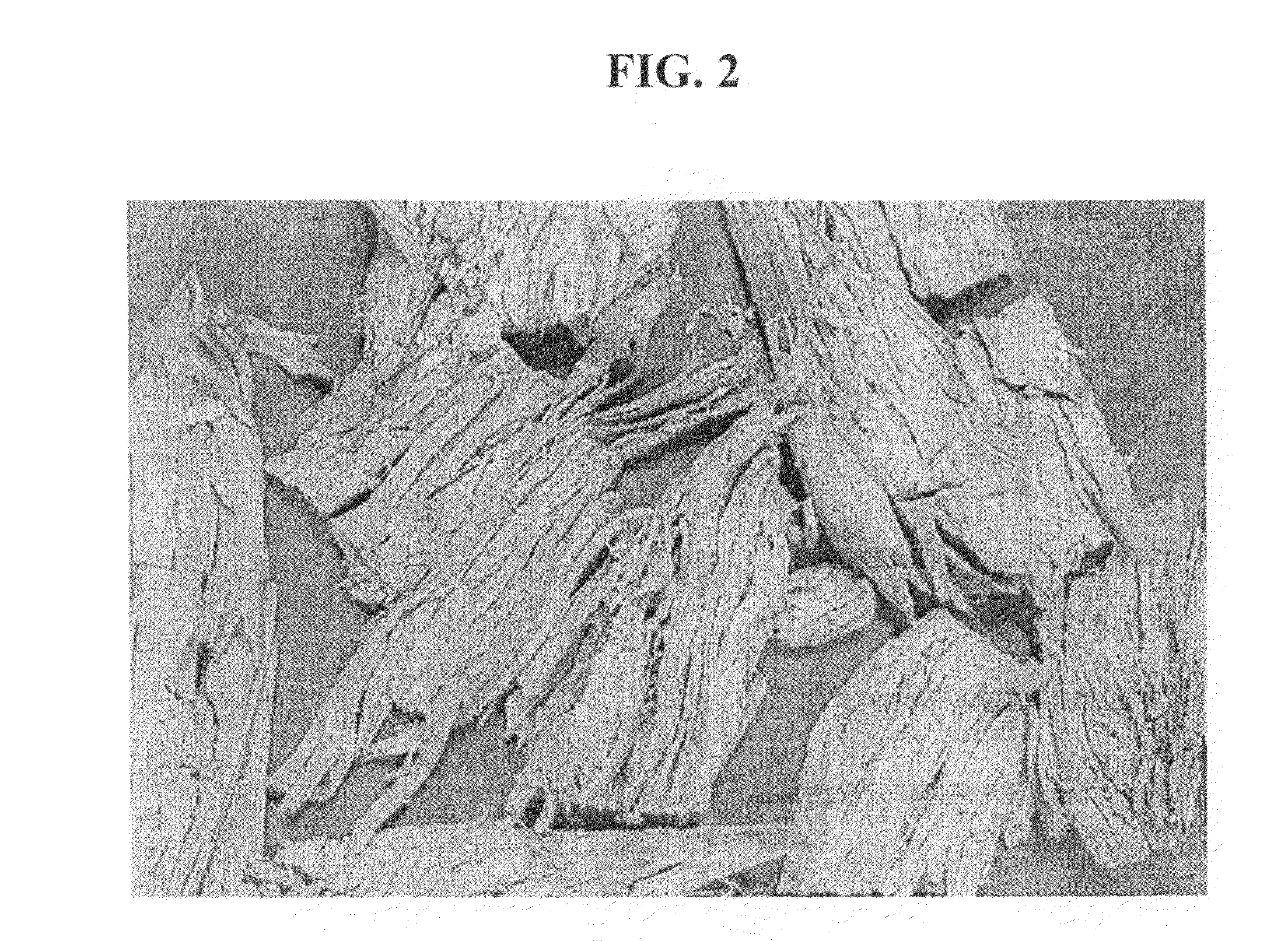 Flaked fish analogs and methods for making such analogs