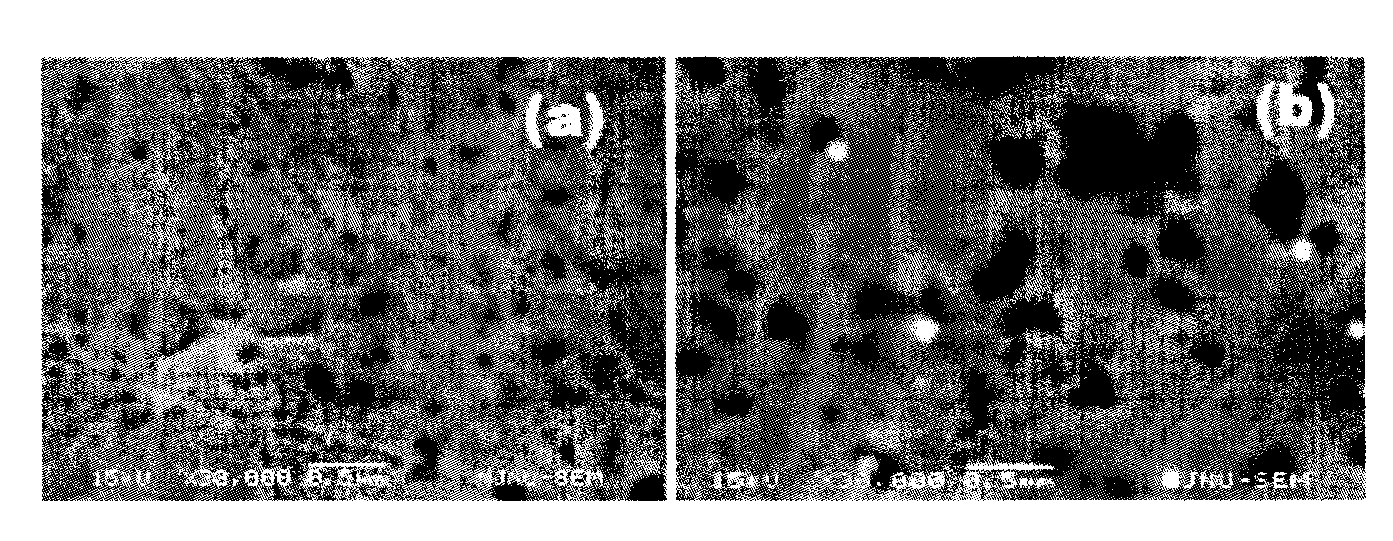 Production method for enzyme functionalized nano immunity marker and use thereof