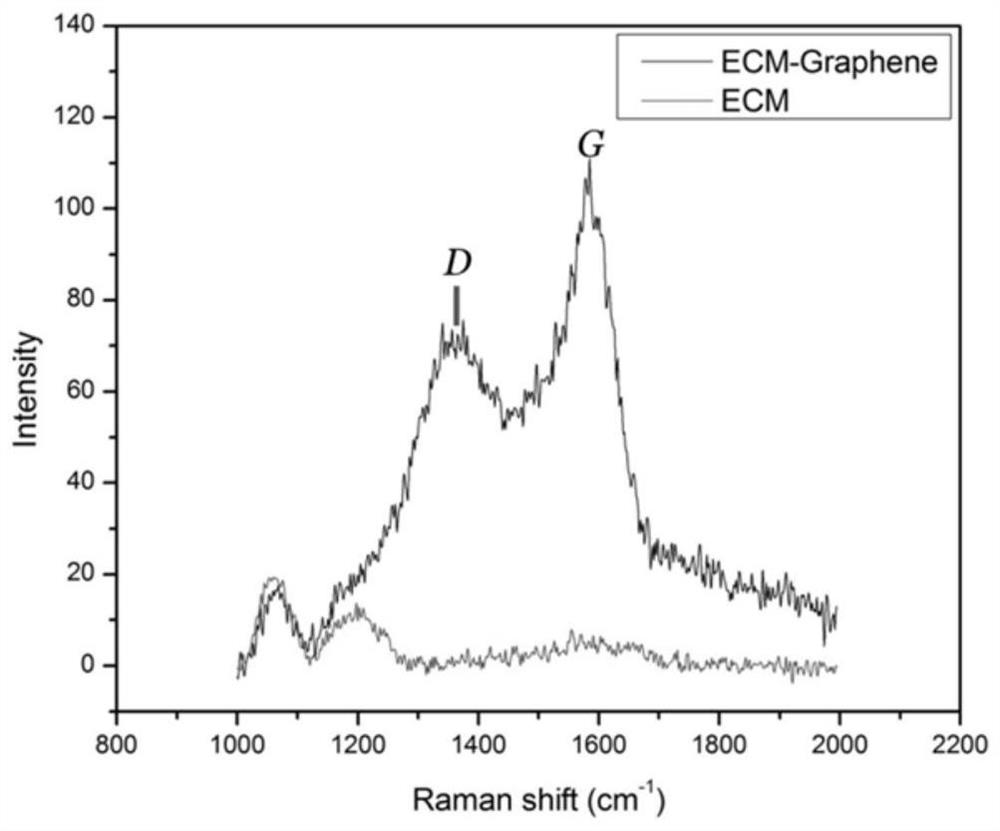 A kind of extracellular matrix composite film with photothermal effect and preparation method thereof