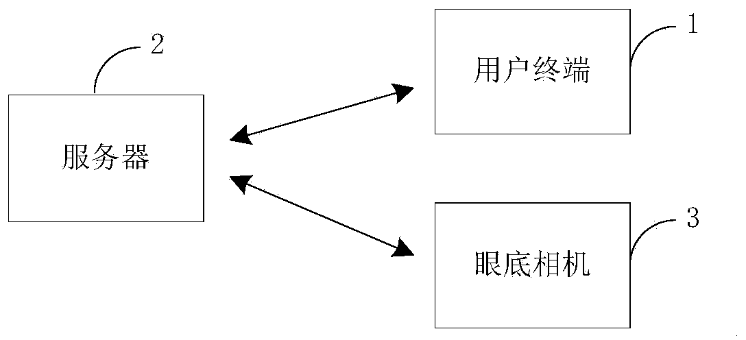 Fundus examination system