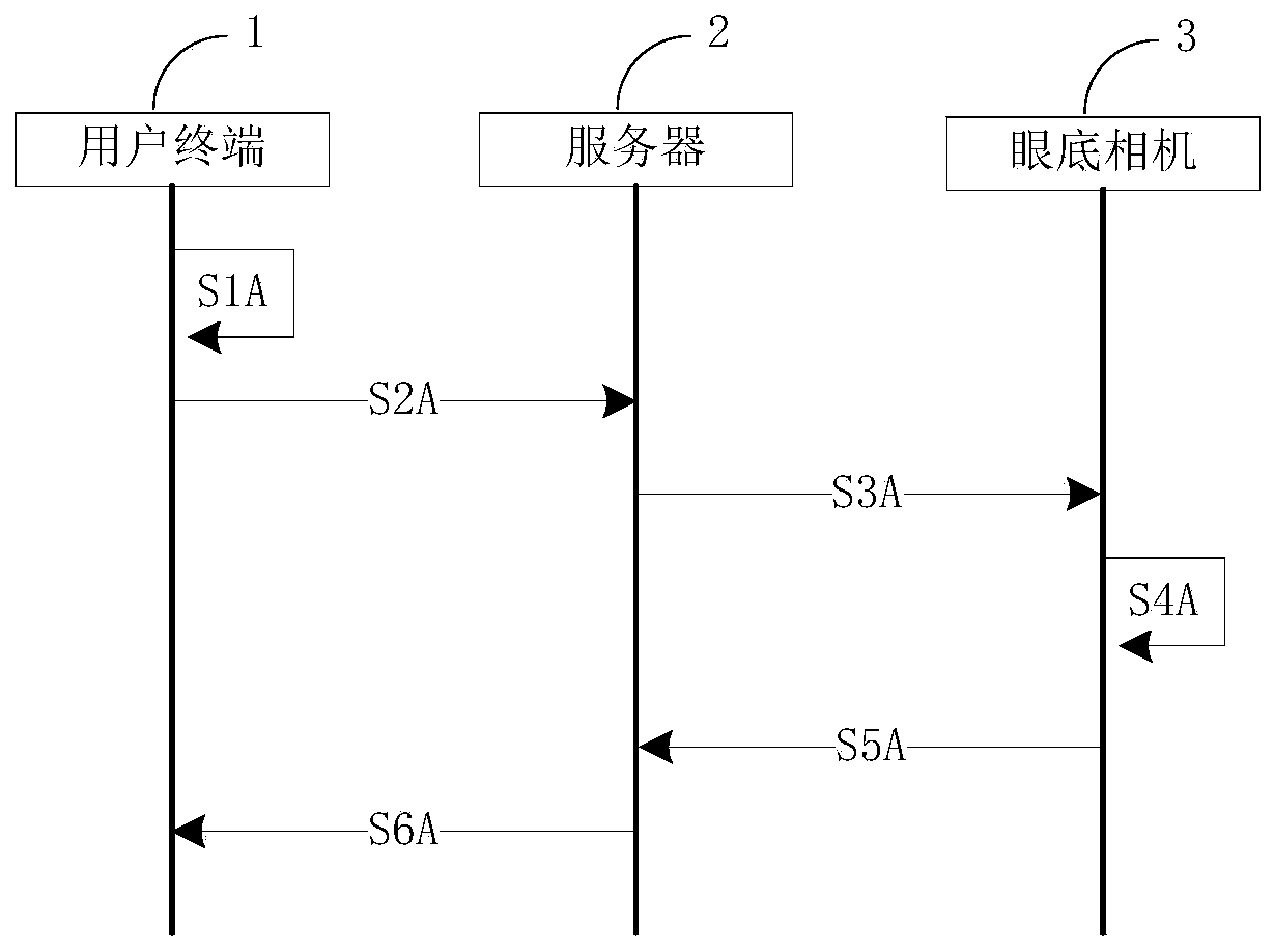 Fundus examination system