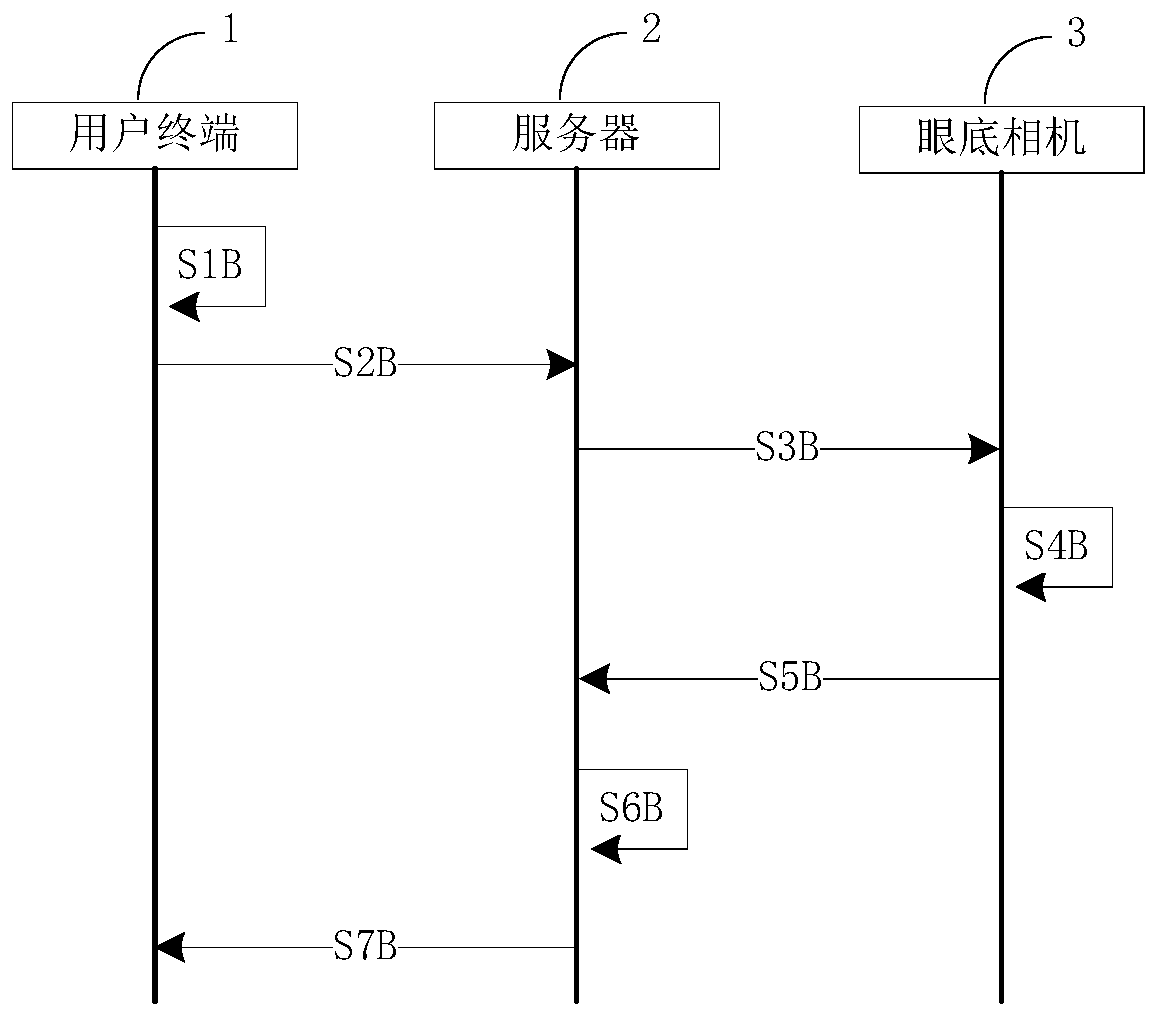 Fundus examination system