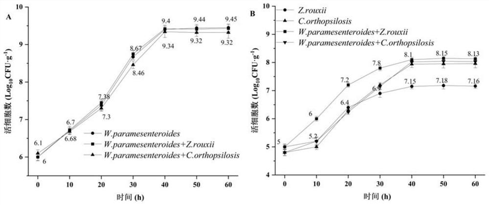 A Weissella strain that promotes the production of guaiacols by Zygomyces rouckeri