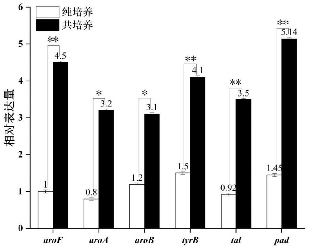 A Weissella strain that promotes the production of guaiacols by Zygomyces rouckeri