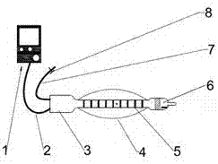 Female pelvic floor function detection and treatment probe