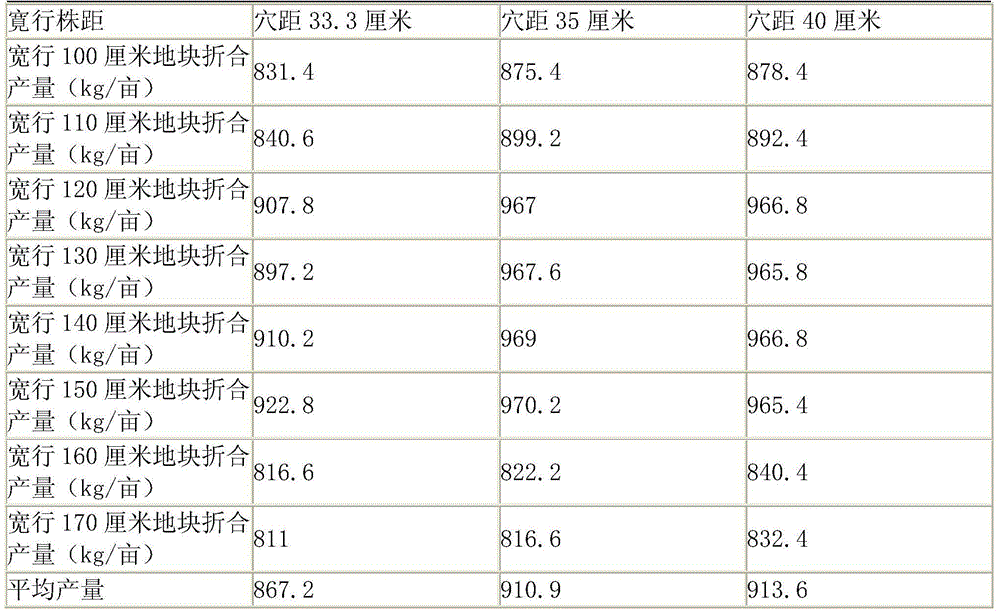 High-yield maize culture method