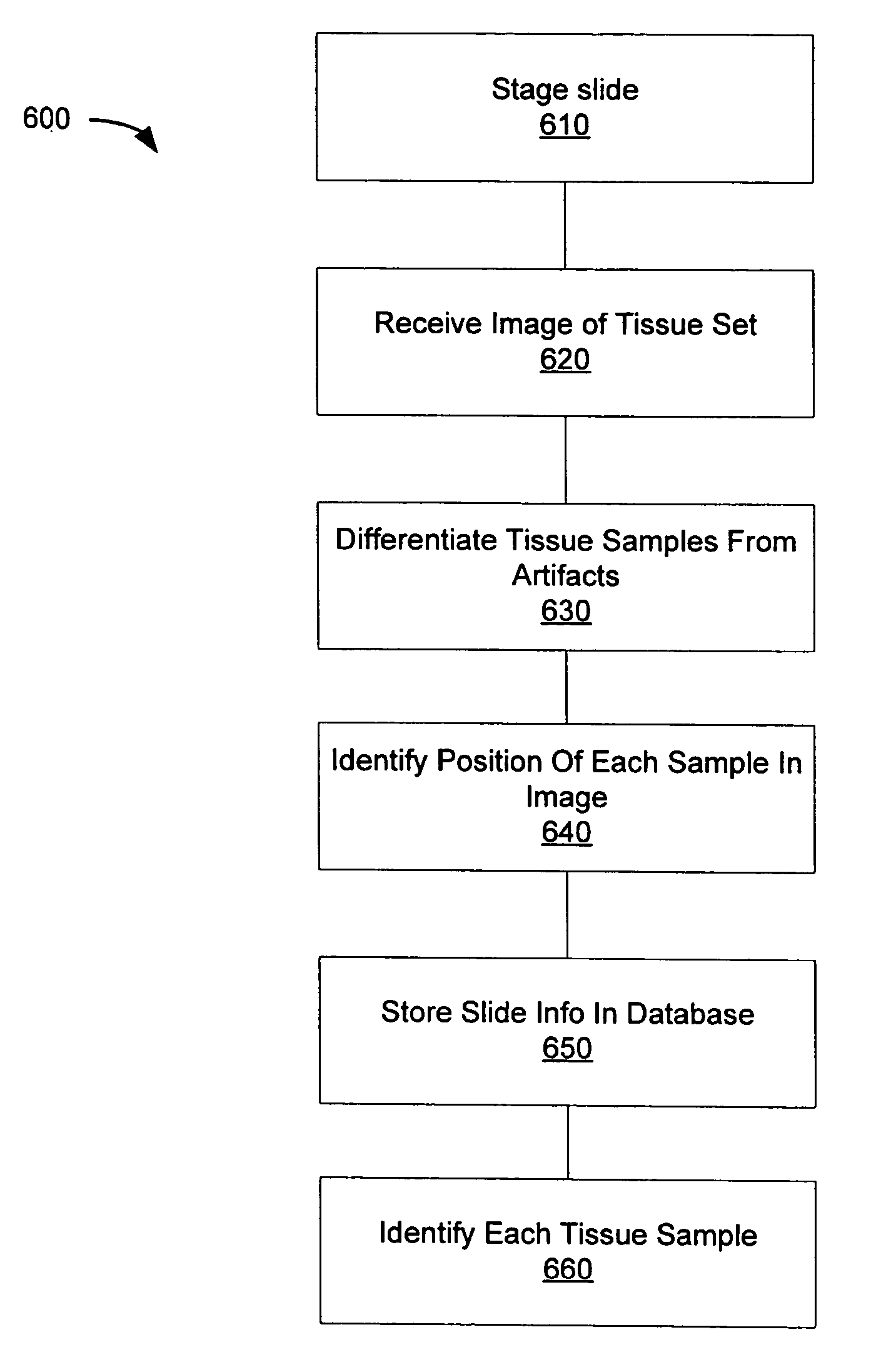 Automated microscope slide tissue sample mapping and image acquisition