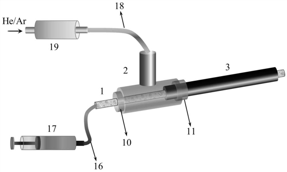 An atmospheric pressure glow discharge ion source device