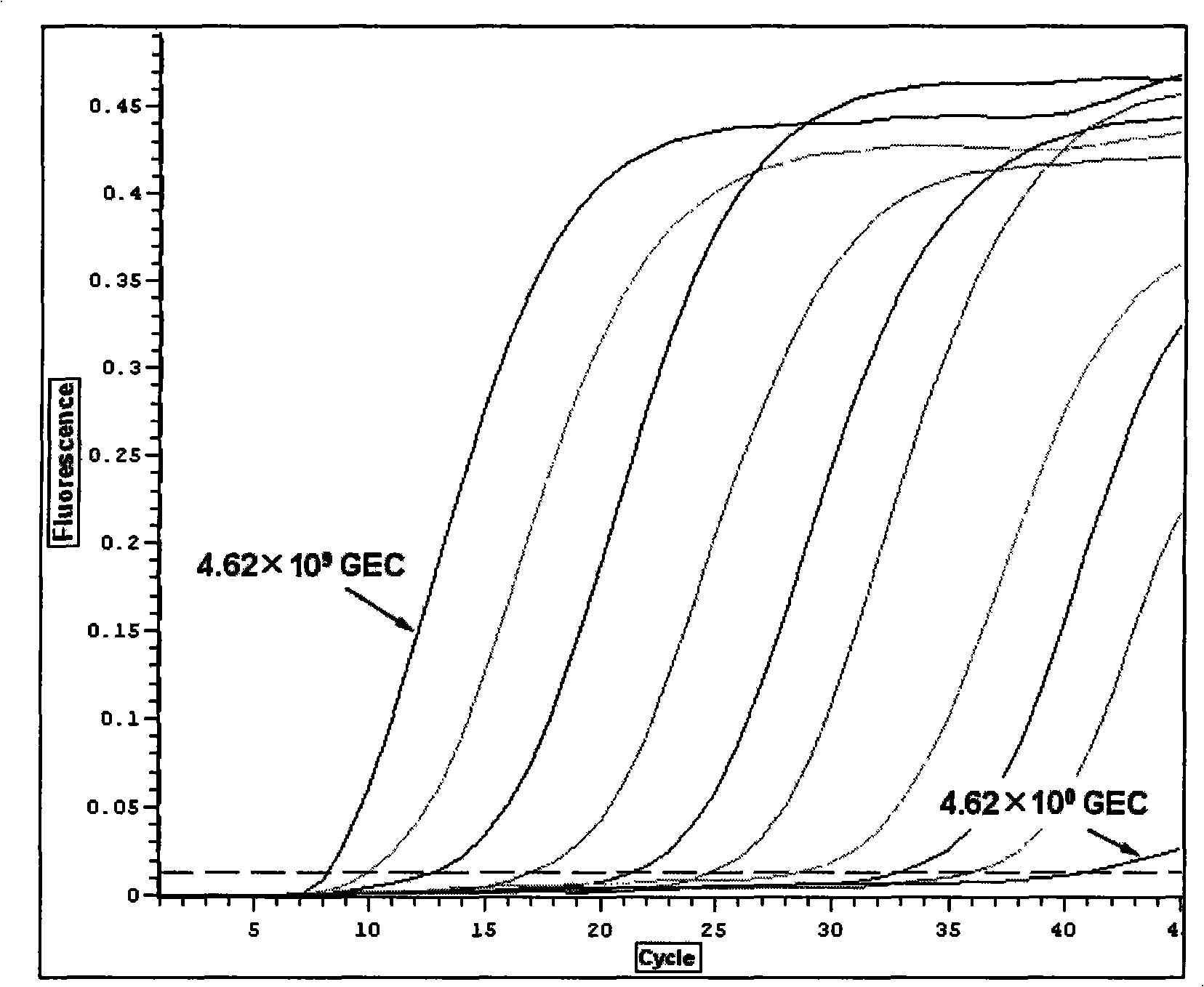 Quantitative determination process for enterovirus in environment water body