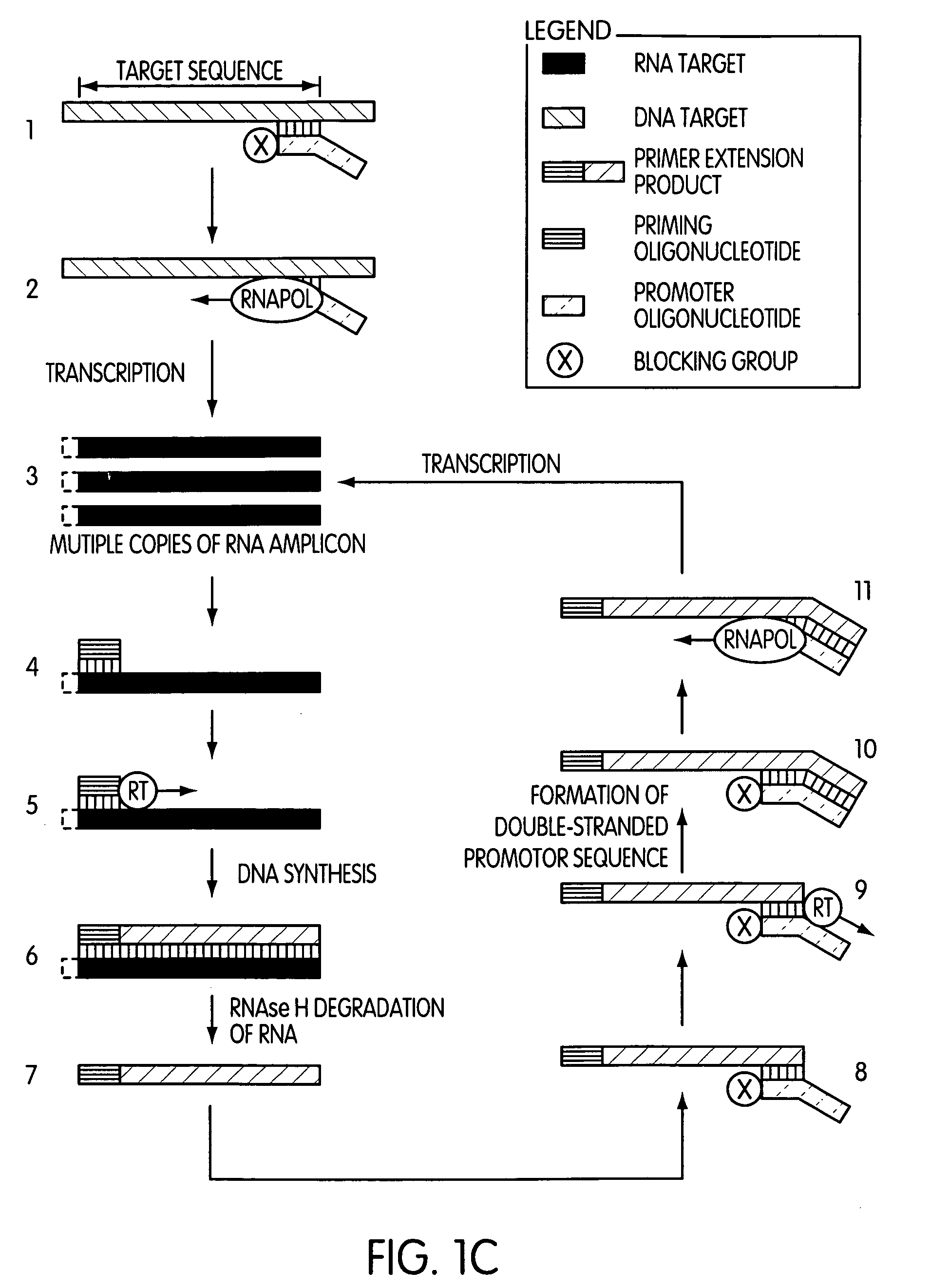 Single-primer nucleic acid amplification methods