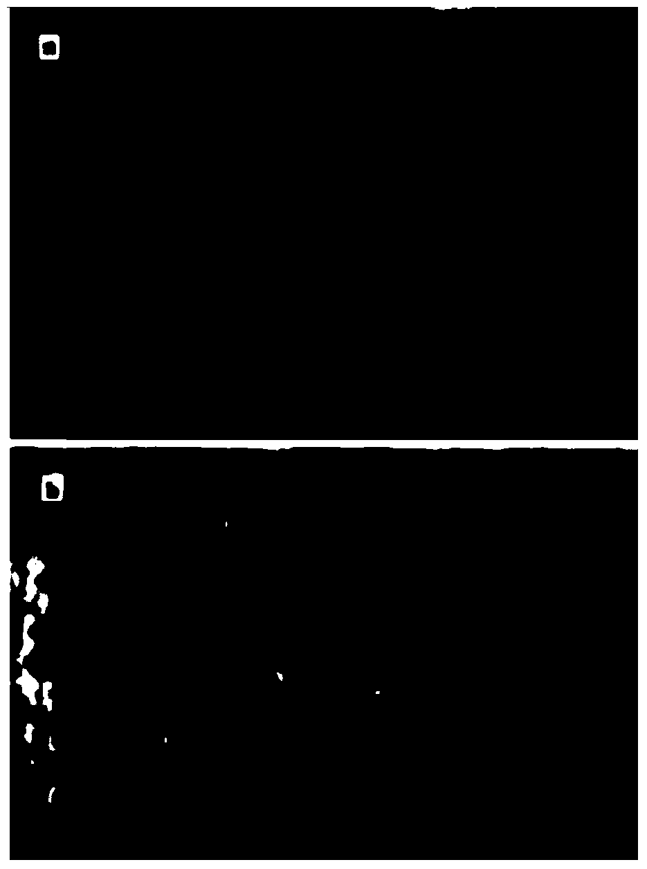 Preparation method of a dual-function ceramic filter for denitrification and dust removal