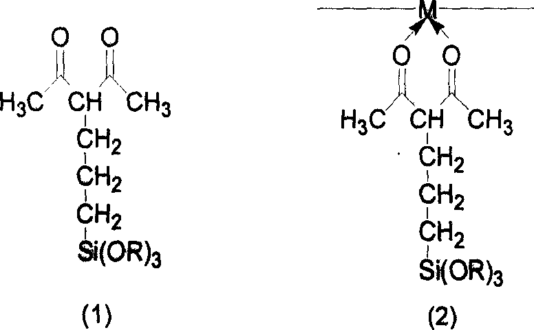 Silicon rubber composition and its preparation process and use