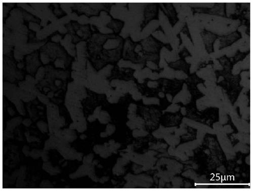 A Varying Temperature Sintering Process of 25% Cr High Chromium Cast Iron and Its Products