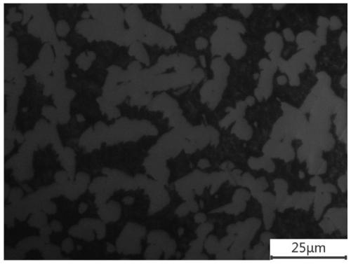 A Varying Temperature Sintering Process of 25% Cr High Chromium Cast Iron and Its Products