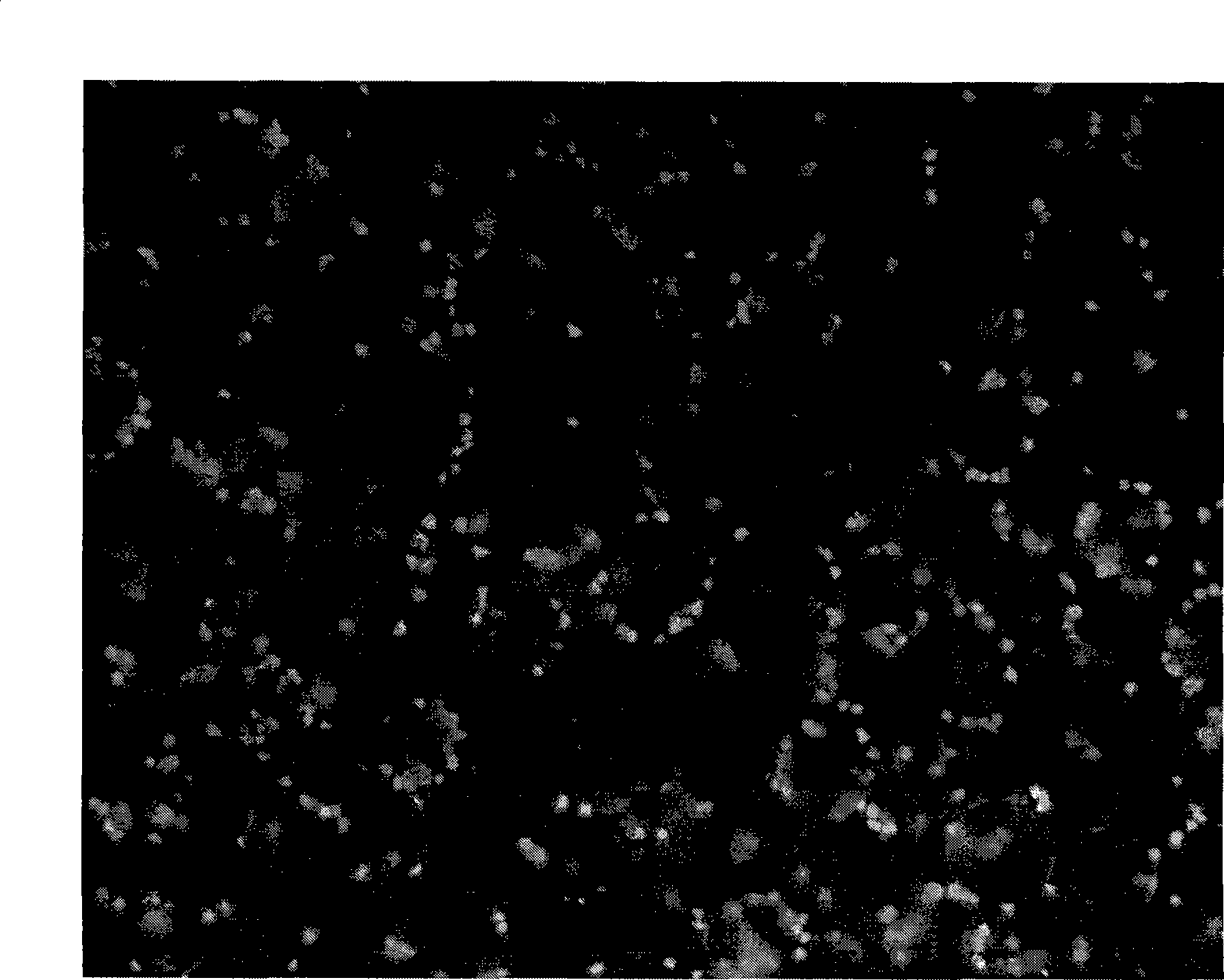 Device and method for isolating cells, bioparticles and/or molecules used for animal biotechnology (including biological research) and medical diagnosis from liquids