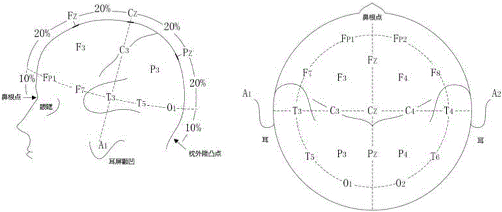 Wearable epilepsy brain-electricity seizure brain area positioning device and method