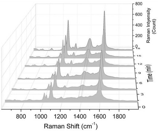 Metal ion dynamic detection and regulation method based on Raman spectrum