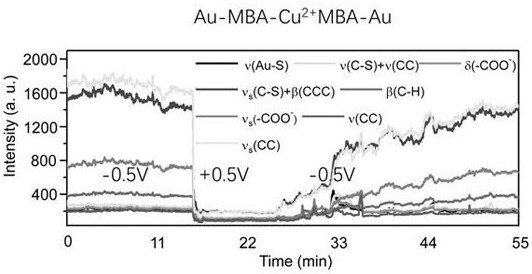 Metal ion dynamic detection and regulation method based on Raman spectrum