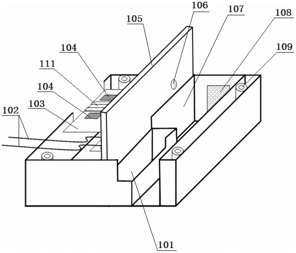 Micro-firework setting off system