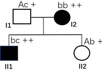 MSH6 mutant gene and application thereof