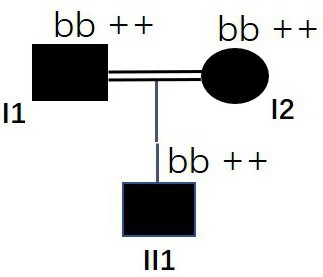 MSH6 mutant gene and application thereof